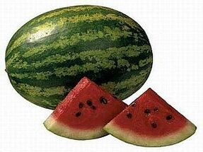 Watermelon diet for weight loss